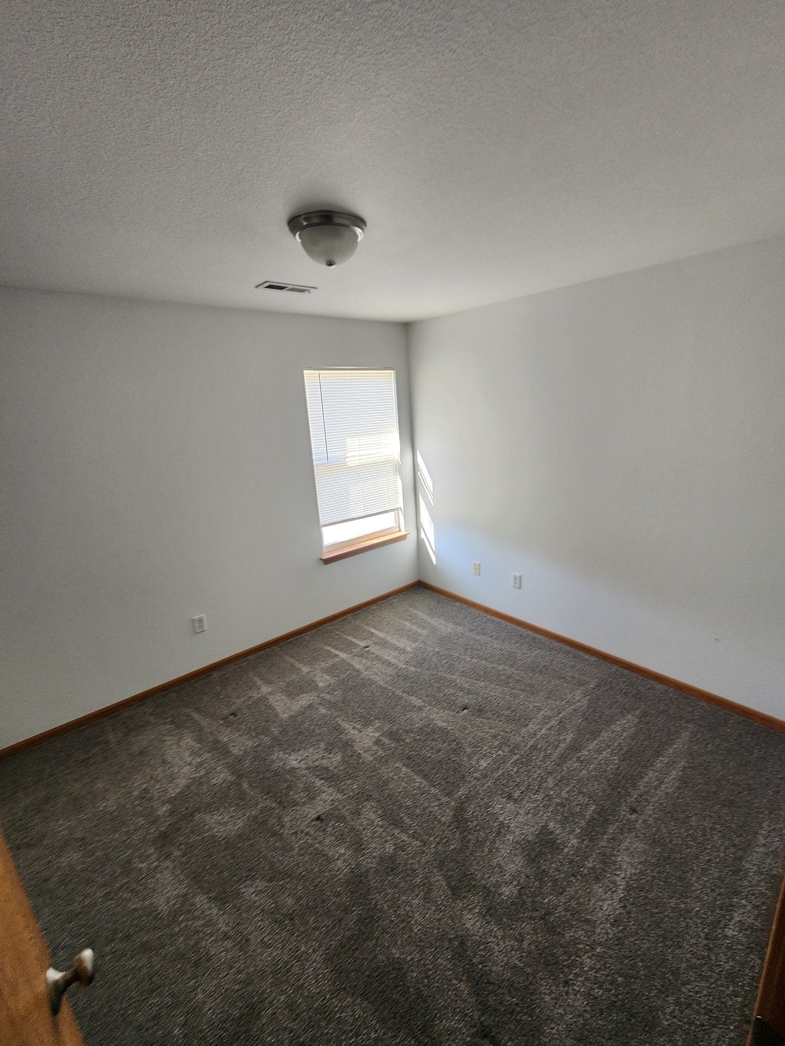 508B Chapin Drive  18.jpg